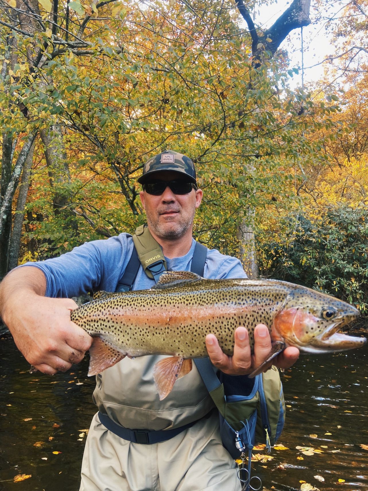 Fall Fly Fishing in WNC